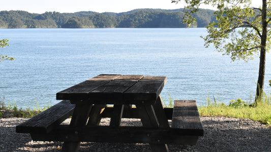 5 lieux de pique-nique en Wallonie : nature, détente et moments gourmands