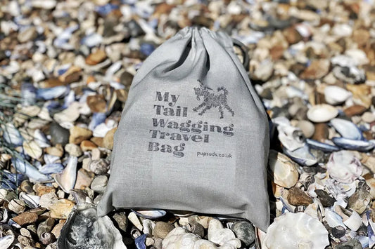 Kit de voyage de Pupsuds pour chien dans son pochon posé sur une plage de galet