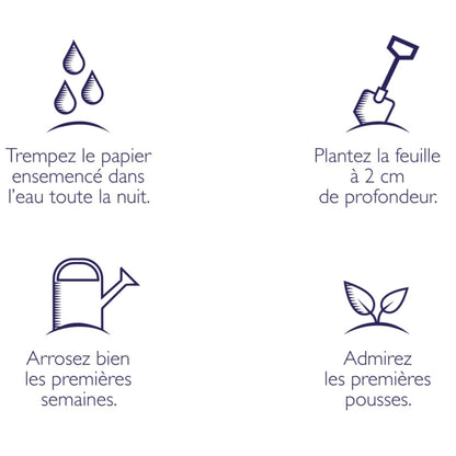 Option emballage cadeau à semer - Par article