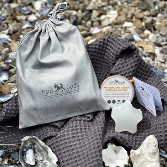 Savon de voyage et serviette de voyage pour chien de Pupsuds - mise en situation sur une plage de galet du savon et de la serviette
